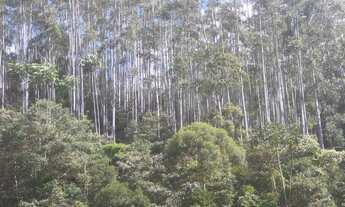 Imagem 4: Sitio são bento uraina 5 alqueires