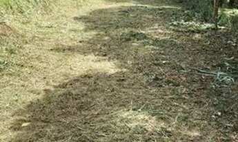 Imagem 3: Oportunidade Lote situado no Casquilho/ Conceição do Pará