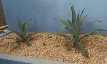 Imagem 5: Casa próximo da Orla de Luzimangues