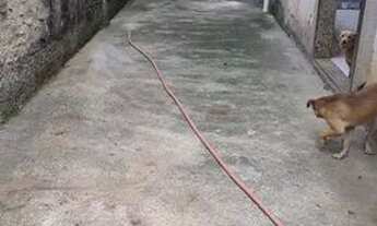 Imagem: Casa mobiliada em xerem