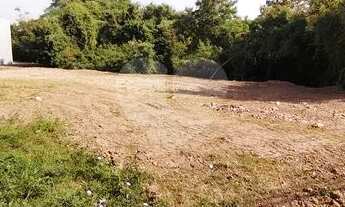 Imagem 7: TERRENO COMERCIAL E INDUSTRIAL NA CRISTOVÃO COLOMBO, AO LADO DA KLABIN