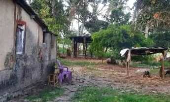 Imagem 2: Casa no povoado Aroeiras- Ilha das flores