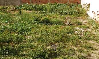 Imagem 2: Terreno lote Flores do Campo - Jardins - São Gonçalo do Amarante