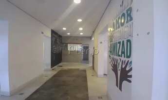 Imagem 4: Casa para locação no Cambuí - Campinas/SP