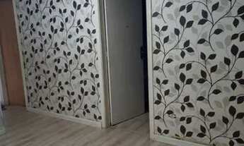 Imagem 3: Locação de Apartamentos / Padrão na cidade de São Paulo