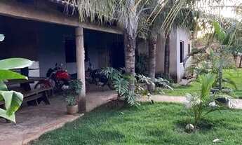 Imagem 5: Chácara à venda no prata agrotis