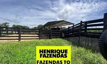 Imagem: Fazenda região central de Palmas a Porto
