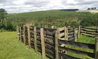 Imagem 5: Sítio abaixo valor excelente oportunidade