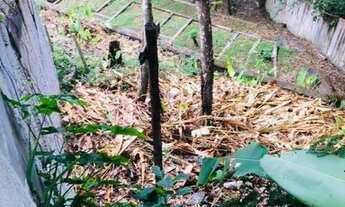 Imagem 2: EXCELENTE TERRENO VISTA MAR NO CONDOMÍNIO TENÓRIO À100 METROS DA PRAIA
