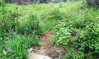 Imagem 4: Chácara em Senador Canedo- Go