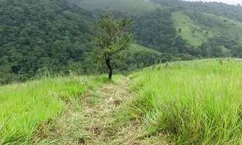 Imagem 3: Vende-se lote com metragem de 500m² com ótimo acesso