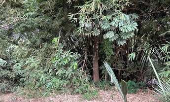 Imagem 2: Chacarra 4500 mts