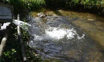 Imagem 4: Sítio em São José do Barreiro SP