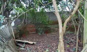 Imagem 2: ARAUCáRIA - Casa Padrão - Passaúna