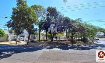 Imagem 3: Casa (térrea na rua) 4 dormitórios/suite, cozinha planejada