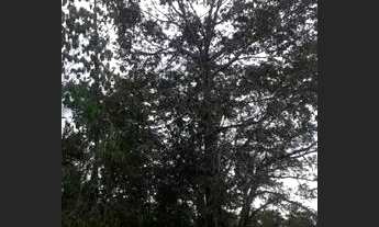 Imagem 3: Vende-se ou troco por casa carro caminhao