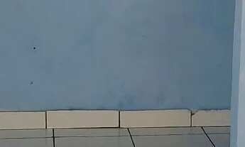 Imagem 4: Raposa/Recanto Sol Nascente