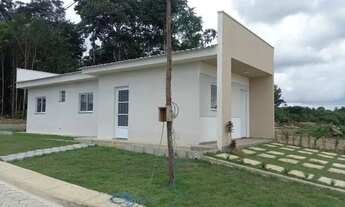 Imagem 4: Jardim dos Anturios / Tarumã - Manaus 9 8 1 0 6 3 2 3 1