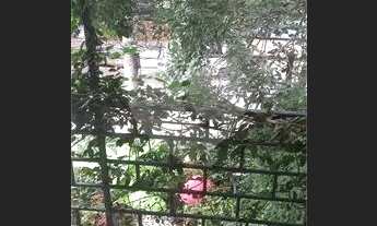 Imagem 5: São Paulo - Casa Padrão - Cerqueira Cesar