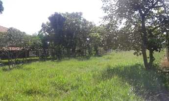 Imagem: OPORTUNIDADE