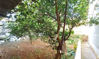 Imagem 4: Linda Casa com dois dormitórios