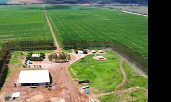 Imagem: Fazenda para Venda em Paranatinga, 000