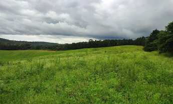 Imagem 11: Lote/Terreno para venda com 500 metros quadrados em Jardim Lavapes das Graças - Cotia - SP