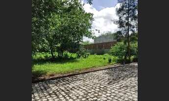 Imagem 4: Terreno de chácara