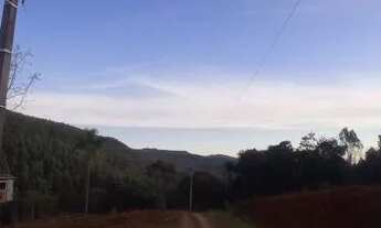 Imagem 5: Chácara 31 hectares 450,000,00 avista com arroio