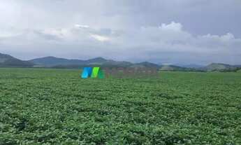 Imagem 4: FAZENDA À VENDA - 4.665 HECTARES - REGIÃO DE PONTE NOVA (MG