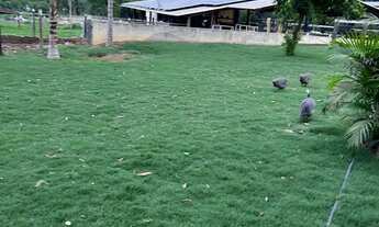 Imagem: Chácara em Varjão