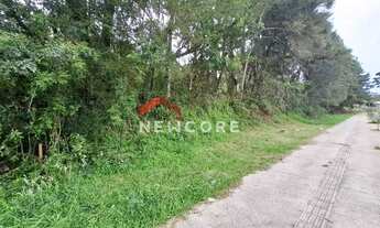 Imagem 3: Lote em Rua Homero Pacheco - Ulisses de Abreu - Canela/RS