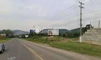 Imagem 2: Area de terras na BR116 em Estancia Velha