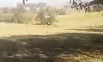 Imagem 3: Terreno em Cesário Lange com 3946m2