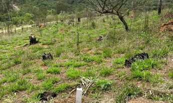 Imagem 6: Terreno com Potencial de Rentabilidade