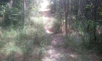 Imagem 4: Terreno 30.000m2