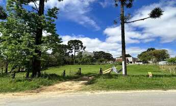 Imagem: Vendas Terreno Campo Largo PR