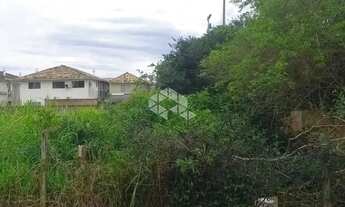 Imagem: Terreno nos Ingleses