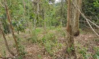 Imagem 2: BLACK Chácara, terra fria, Domingos Martins, tijuco, escriturada, negocio aceito oferta l