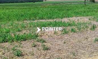 Imagem 4: Fazenda á venda com 1.742 hectares em Doverlândia - Goiás