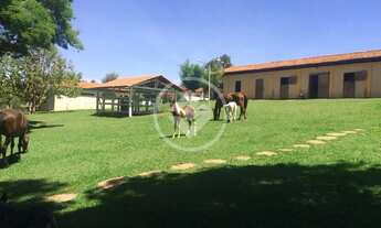 Imagem 2: HARAS EM ANAPOLIS codigo: 123968