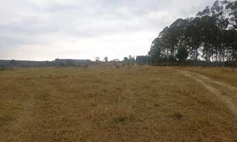 Imagem 3: Sítio bom para café ,abacate ,grãos