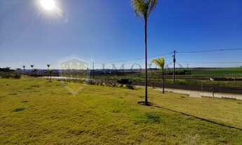 Imagem 5: Terreno Padrão em Ribeirão Preto