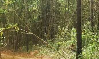 Imagem: Vendo lote no Papamilho