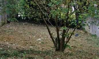 Imagem: Terreno no Real Park