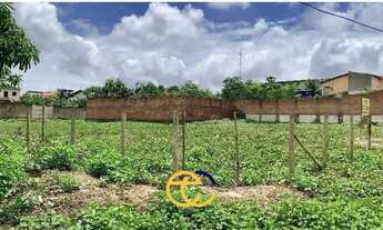 Imagem: LOTES PARA ALUGAR - PARQUE PINDORAMA