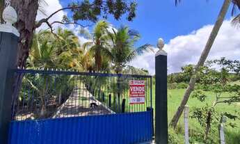 Imagem: Sítio Para Venda no Povoado Carlos Torres