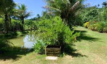 Imagem 5: Chacara 3200m2 a 15 minutos do centro de Castelo