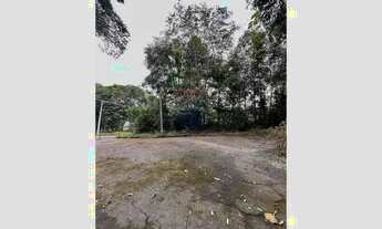 Imagem 3: Lote Exclusivo: Preço Imperdível no Bosque Palmas!