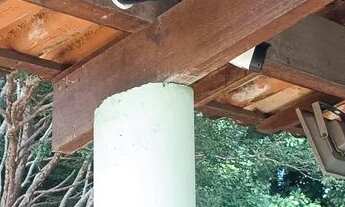 Imagem 4: Você procura um sitio bem cuidado com piscina, pomar maravilhoso, terra boa para plantio?